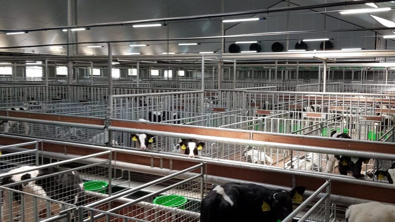 家居店铺关键词优化：如何精准引流，提升转化率